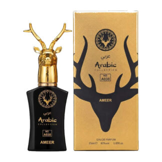 A038 Ameer
