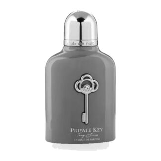 Private Key Cinza
